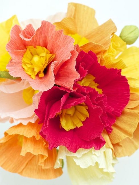 Lindas flores multicoloridas
