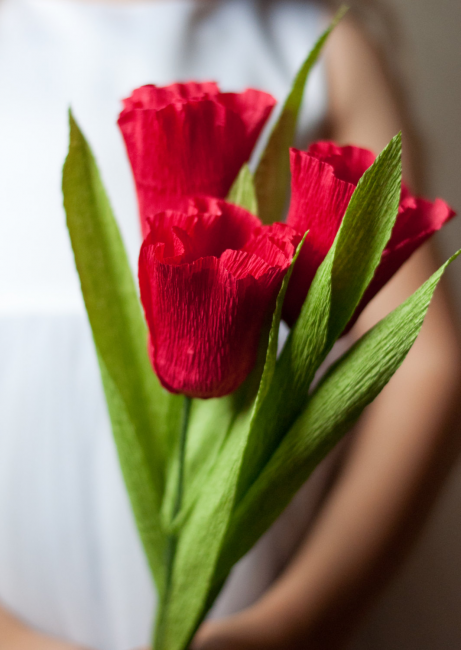 Tulipas vermelhas