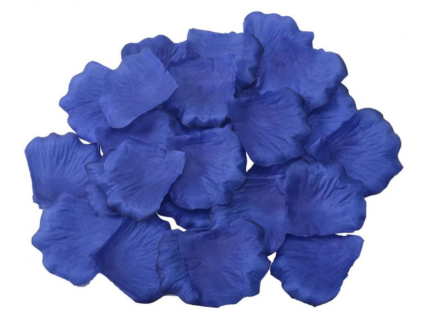 Pétalas de flores