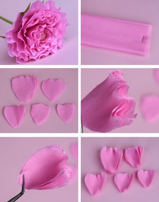 Exuberante rosa
