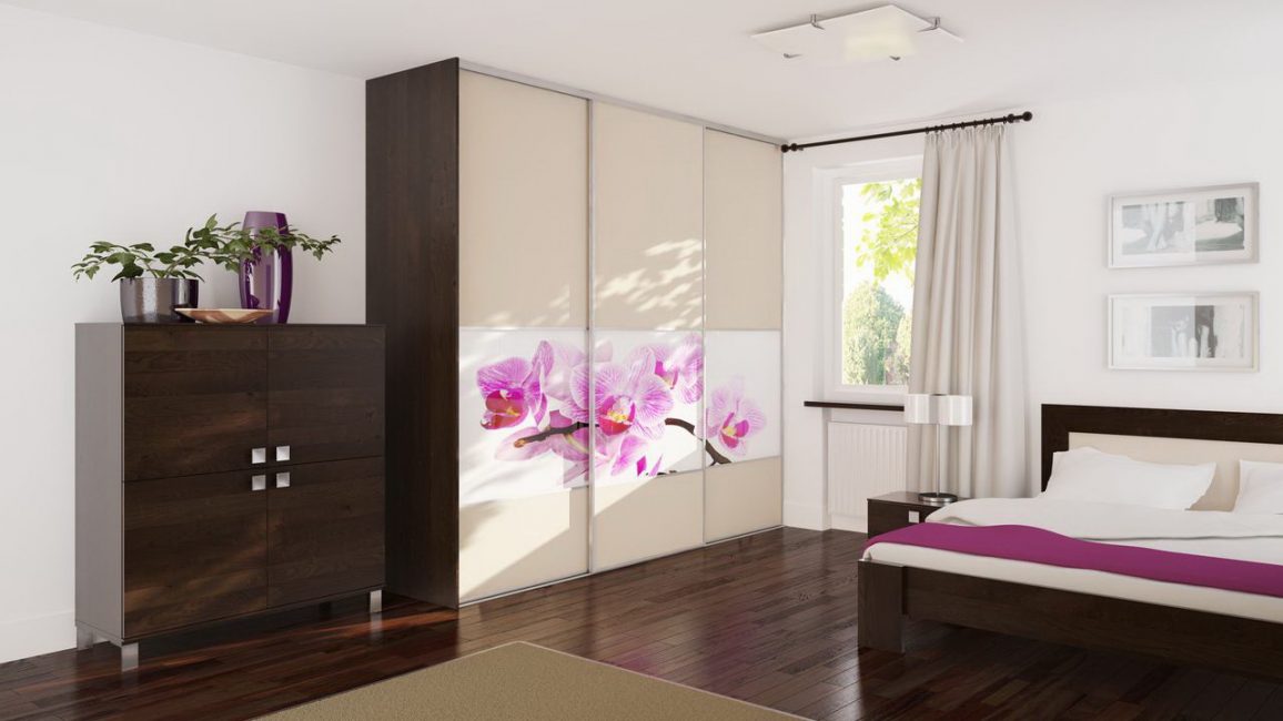 Refresque-se com um padrão brilhante de ramos de sakura