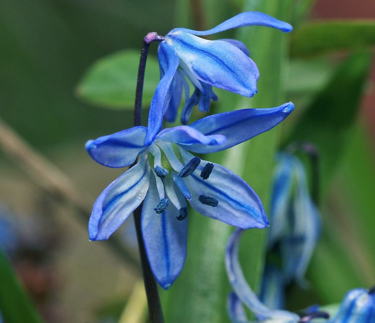 Azul, harmonioso para o humor