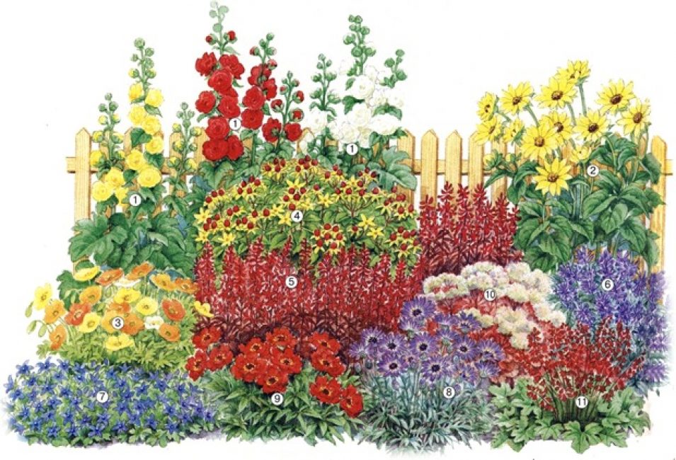 Canteiro de flores sem problemas