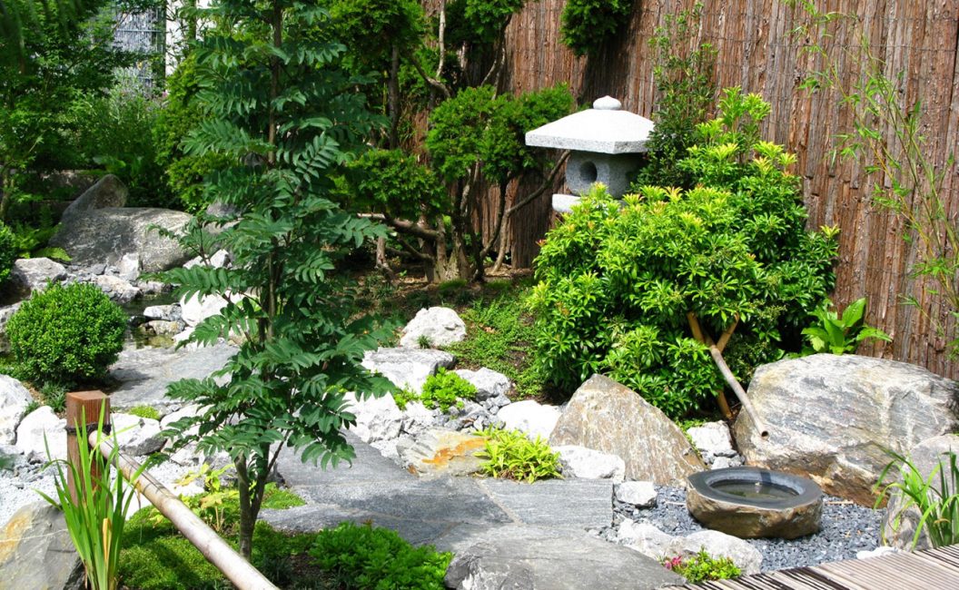 Para um jardim japonês, plantas verdes com folhas pequenas e flores discretas são perfeitas.