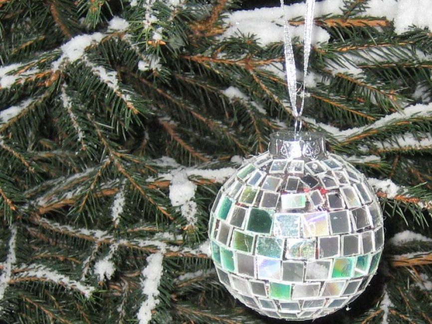 Nós penduramos o produto acabado na árvore de Natal
