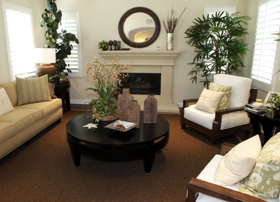 houseplants ในการตกแต่งภายในที่คลาสสิก