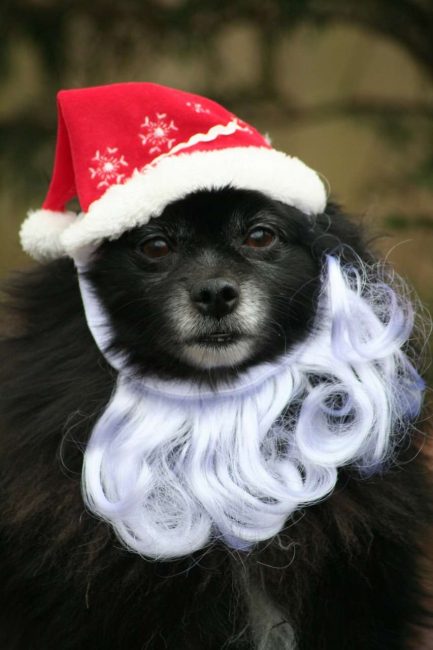 Seu papai noel pessoal