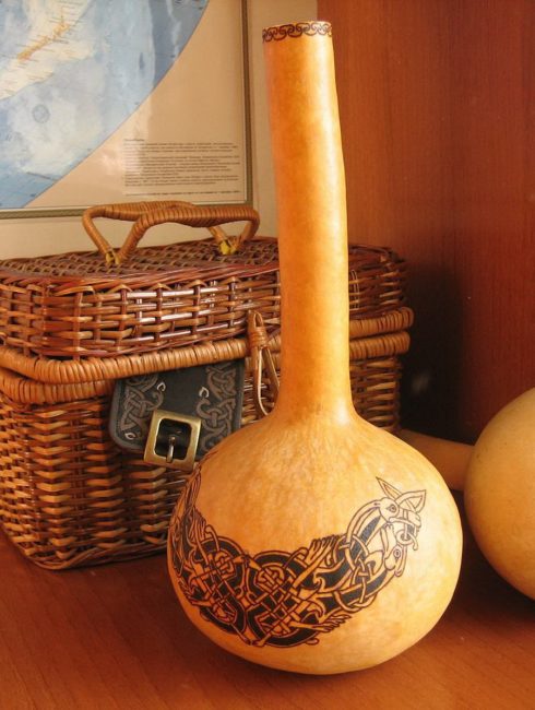 Esta abóbora é feita especialmente para o artesanato.