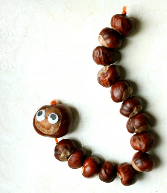 Boa cobra de castanhas