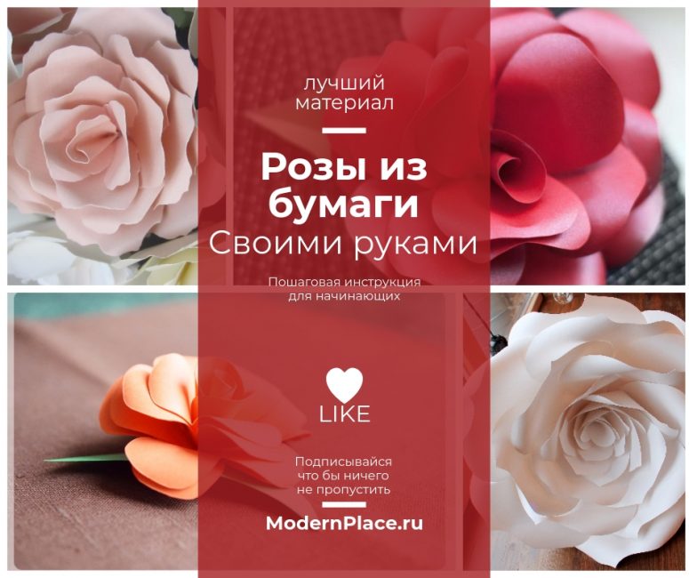 Como fazer rosas de papel com as próprias mãos: Instruções passo a passo para iniciantes (mais de 190 fotos)