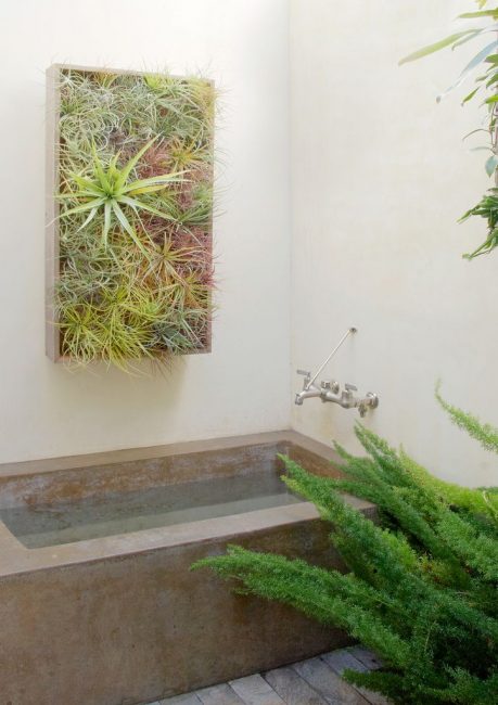 Use plantas que gostam de umidade no banheiro