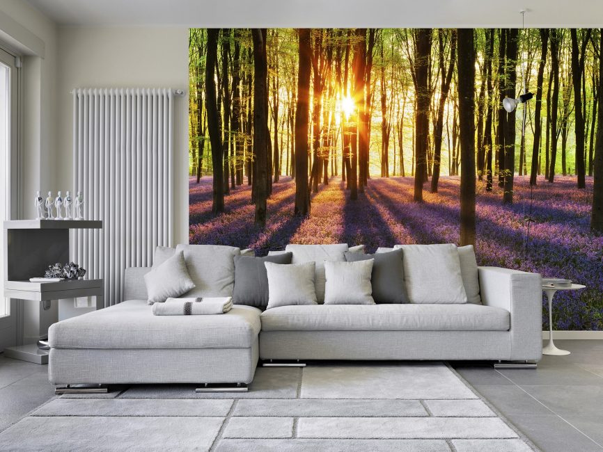 A seleção de cores também é influenciada pela direção da iluminação natural na sala de estar.