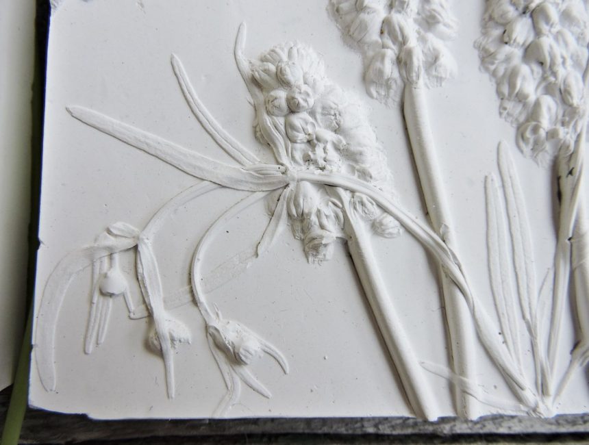 Aplique um pouco de gesso para secar.