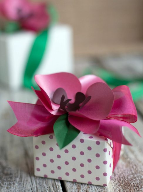 Bela orquídea servirá como uma maravilhosa decoração