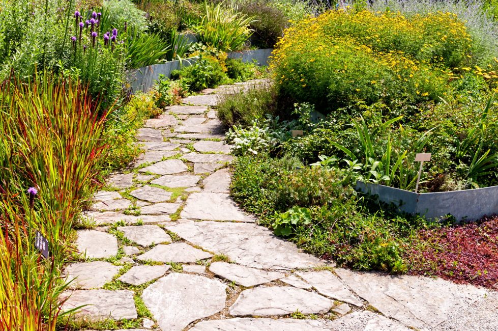 Caminhos do jardim com baixos custos