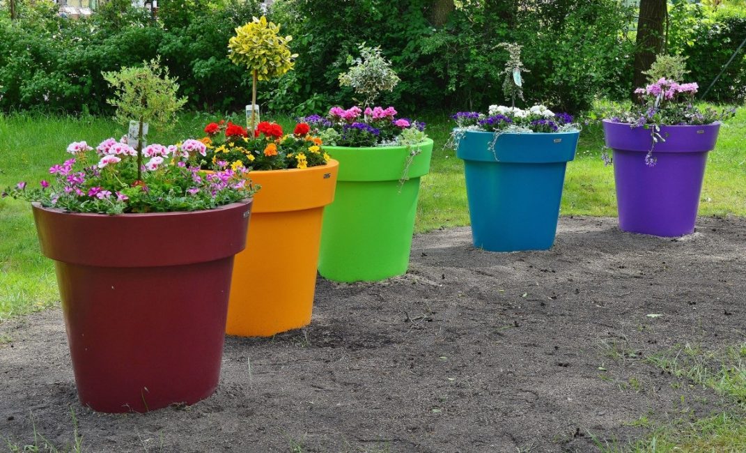 Uma solução interessante para o jardim