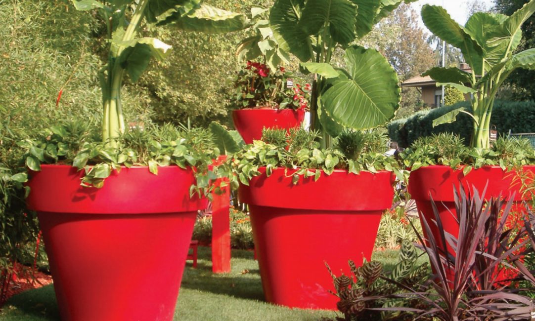 Vasos de flores brilhantes no jardim