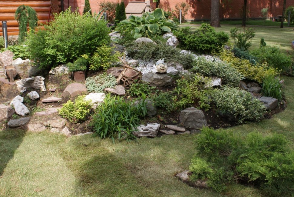 Jardim sem plantas com flores