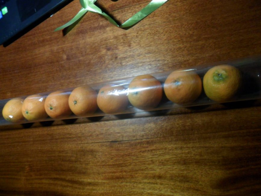 Nós embrulhamos todas as frutas em celofane