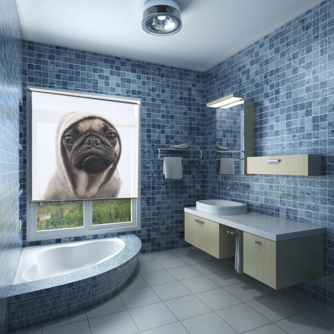 Cópia engraçada do banheiro