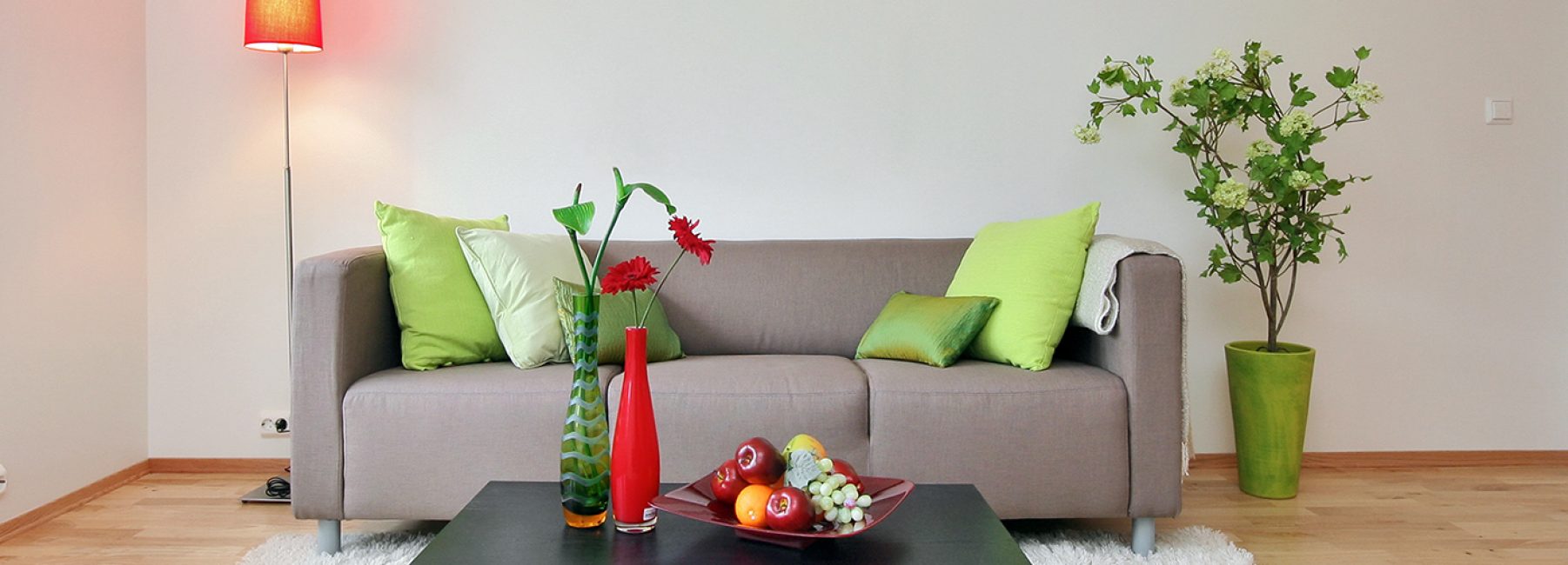 Plantas ajudam a reviver a sala de estar