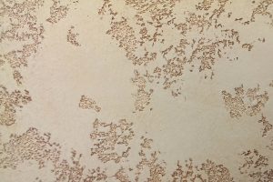 Gesso veneziano Faça você mesmo: 175+ Fotos de Interiores para uma casa ou apartamento