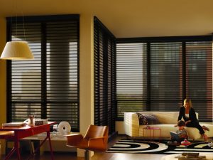 Quais são as cortinas nas janelas (mais de 200 fotos): Várias opções de design para sua casa