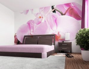 Foto papel de parede no interior do quarto: 205+ (Foto) Belas ideias para criar conforto