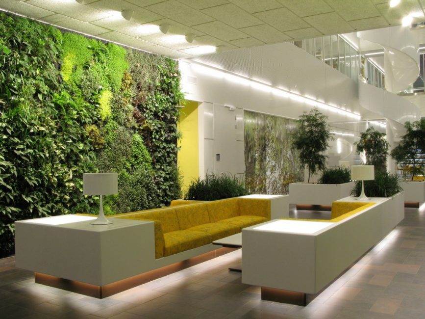 Interior incomum e ecológico