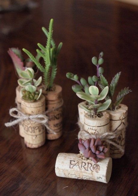 Pequenos potes para plantas