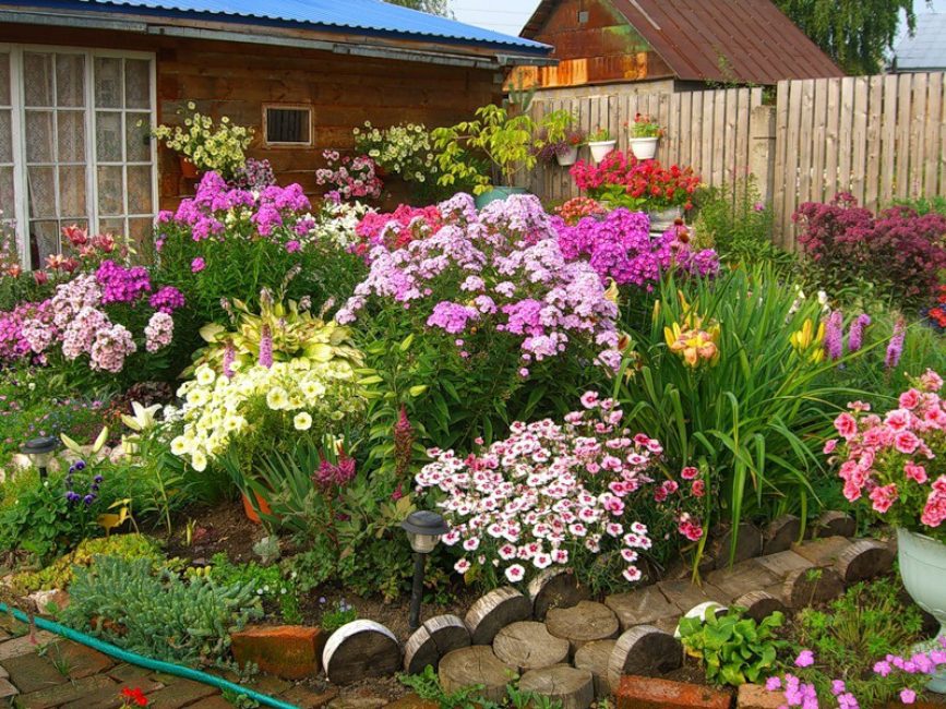 A melhor maneira de decorar o seu jardim é usar vegetação florida.