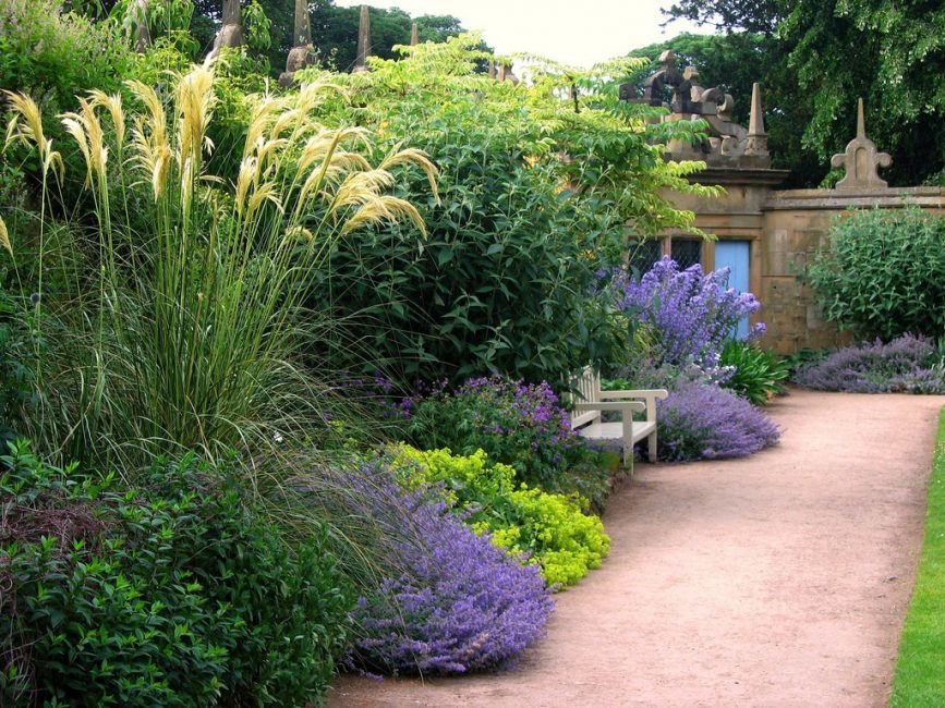 Mixborder - jardim de flores com uma variedade de tipos