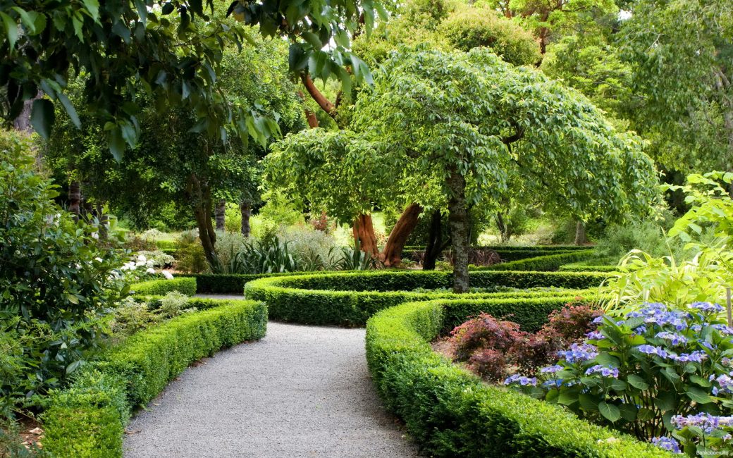 A melhor maneira de decorar o seu jardim é usar vegetação florida.