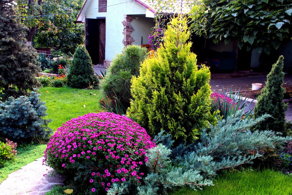 Crie seu próprio jardim com suas próprias mãos