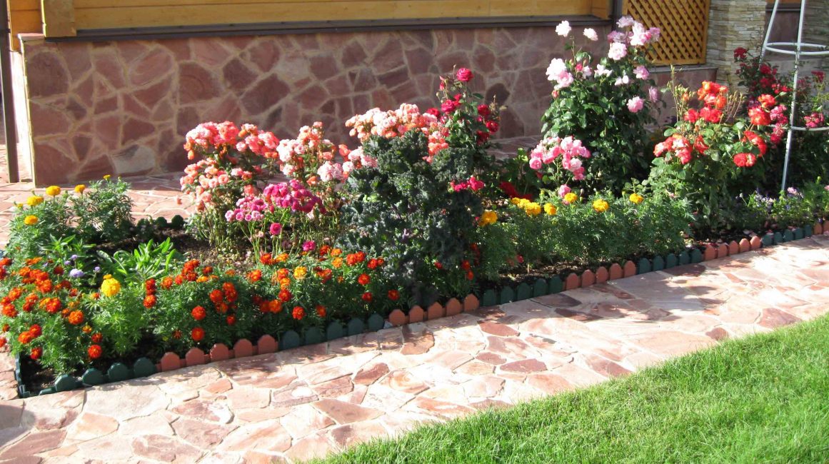 Flores ao longo da passarela