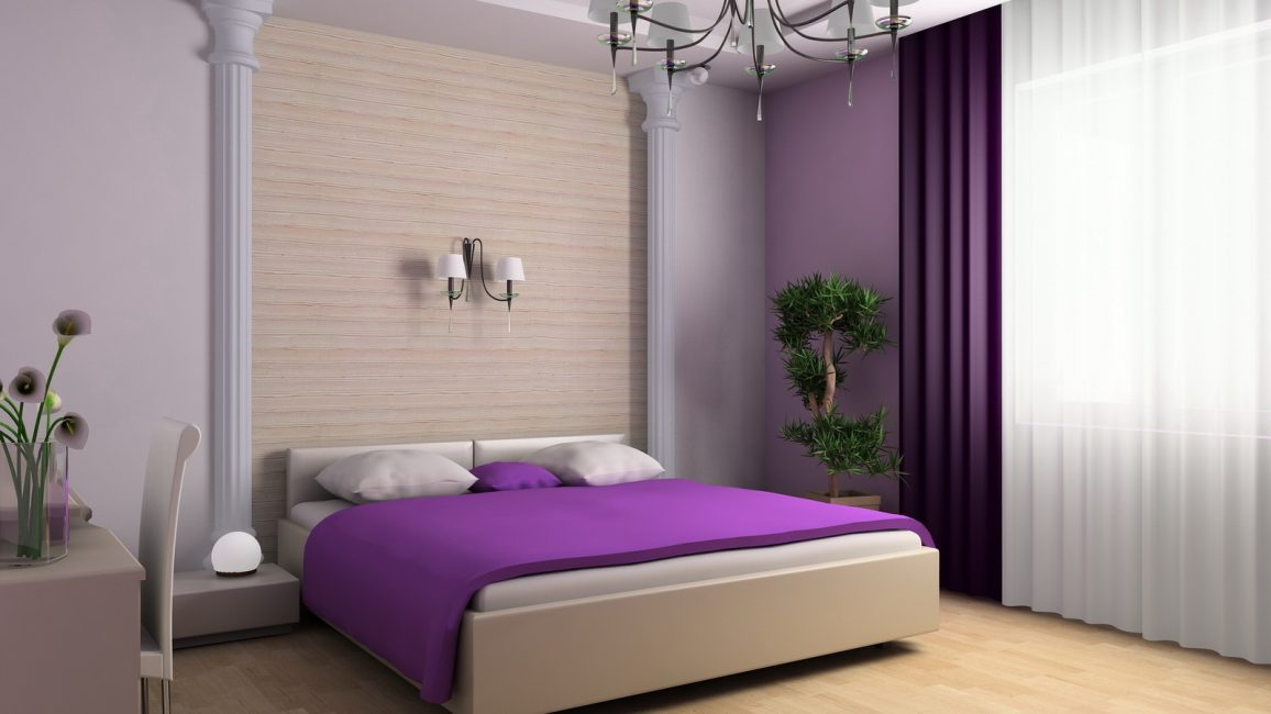Olhar elegante de decoração de parede - é a coloração que transforma o interior.