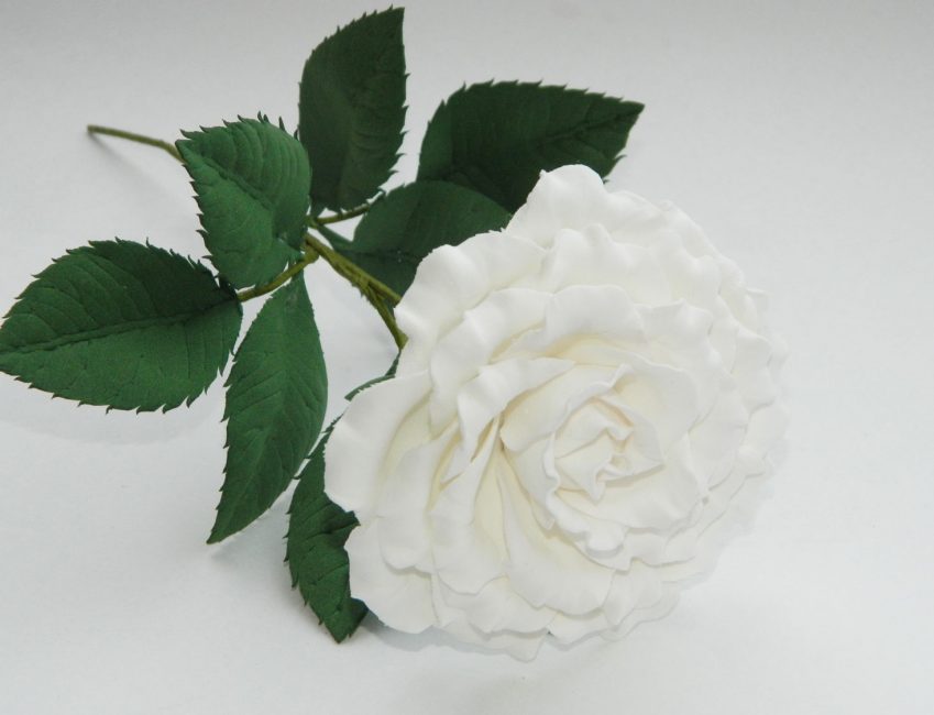 Esta flor pode substituir o real