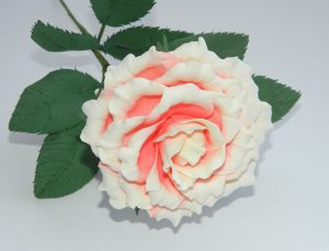 Rosas grandes e pequenas de Foamiran: 150+ (foto) com instruções passo a passo. 7 master classes detalhadas para iniciantes