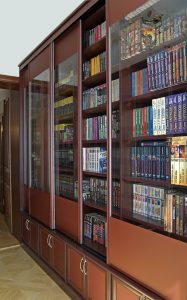 Estantes com portas de vidro - 170+ (Foto) Opções do modelo
