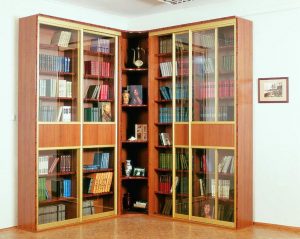 Estantes com portas de vidro - 170+ (Foto) Opções do modelo