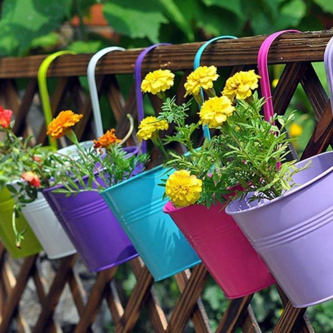 Flores penduradas precisam ser regadas com mais frequência.