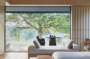Design do apartamento no estilo japonês: Acalme sua casa. 220+ (Fotos) Interiores em quartos diferentes (cozinha, sala de estar, banheiro)