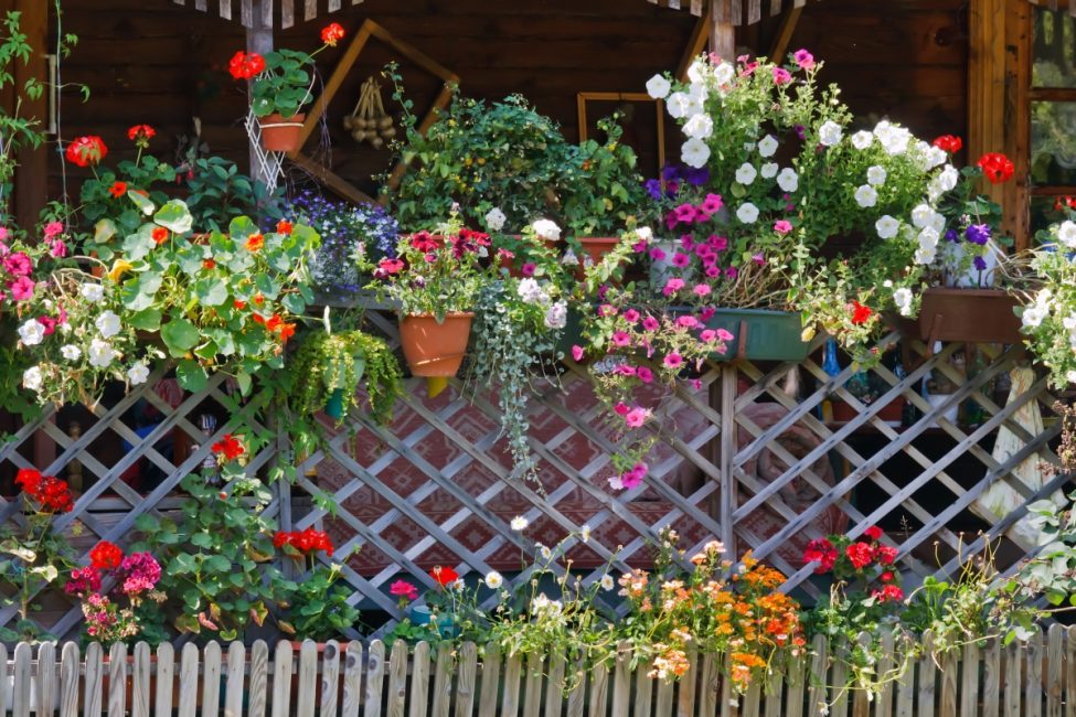 Belo hedge decorado com flores
