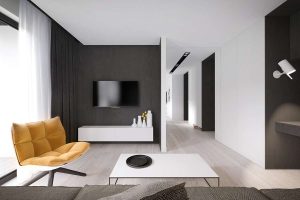 Elegante, Conforto e Beleza (mais de 170 fotos): interior em preto e branco (sala de estar, quarto, cozinha)