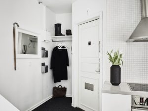 Elegante, Conforto e Beleza (mais de 170 fotos): interior em preto e branco (sala de estar, quarto, cozinha)
