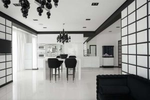Elegante, Conforto e Beleza (mais de 170 fotos): interior em preto e branco (sala de estar, quarto, cozinha)