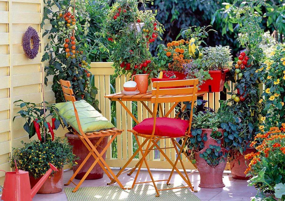 Bonito quando muitas plantas florescendo