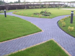 Como é bonito fazer caminhos de jardins com as próprias mãos a baixo custo? Mais de 180 fotos de opções suburbanas de diferentes materiais (telhas, plástico, borracha)