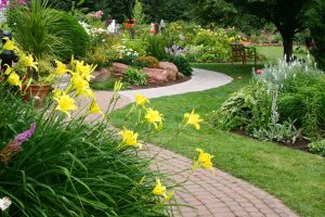 Como é bonito fazer caminhos de jardins com as próprias mãos a baixo custo? Mais de 180 fotos de opções suburbanas de diferentes materiais (telhas, plástico, borracha)