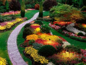 Como é bonito fazer caminhos de jardins com as próprias mãos a baixo custo? Mais de 180 fotos de opções suburbanas de diferentes materiais (telhas, plástico, borracha)